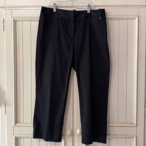 Ann Taylor Cropped Dress Pants